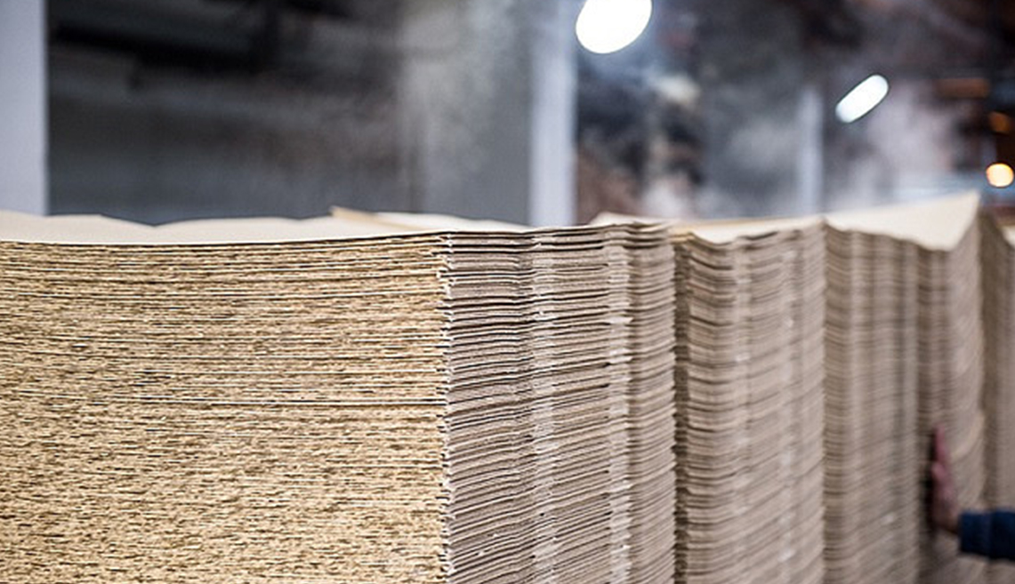 山東省日照パルププロジェクト